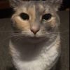 Lucifig